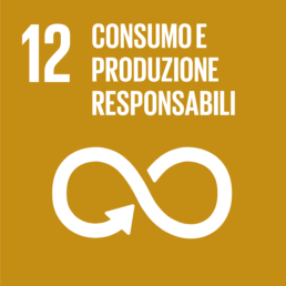 Obiettivi di Sviluppo Sostenibile: consumo e produzione responsabili