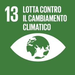 Obiettivi di Sviluppo Sostenibile: lotta contro il cambiamento climatico