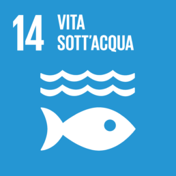 Obiettivi di Sviluppo Sostenibile: vita sott'acqua